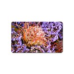  Purple Baby s Breath and Dried Orange Protea  by Ruth Edward Anderson - Magnet (Name Card)