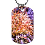  Purple Baby s Breath and Dried Orange Protea  by Ruth Edward Anderson - Dog Tag (One Side)