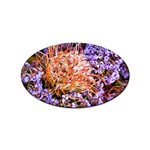  Purple Baby s Breath and Dried Orange Protea  by Ruth Edward Anderson - Sticker Oval (10 pack)