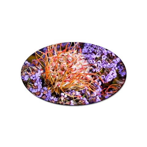  Purple Baby s Breath and Dried Orange Protea  by Ruth Edward Anderson Front