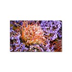  Purple Baby s Breath and Dried Orange Protea  by Ruth Edward Anderson - Sticker Rectangular (100 pack)