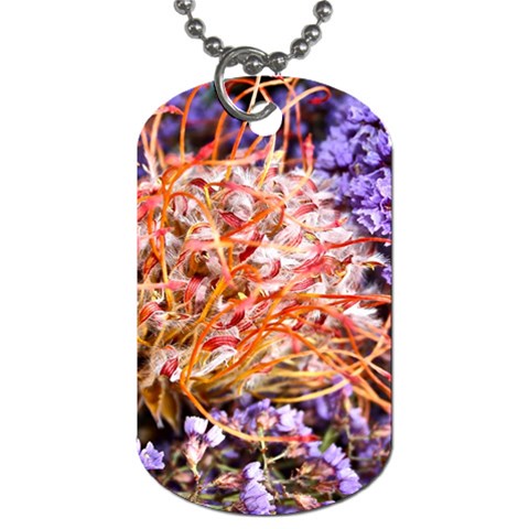  Purple Baby s Breath and Dried Orange Protea  by Ruth Edward Anderson Front