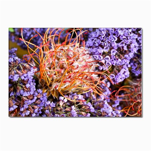  Purple Baby s Breath and Dried Orange Protea  by Ruth Edward Anderson Front