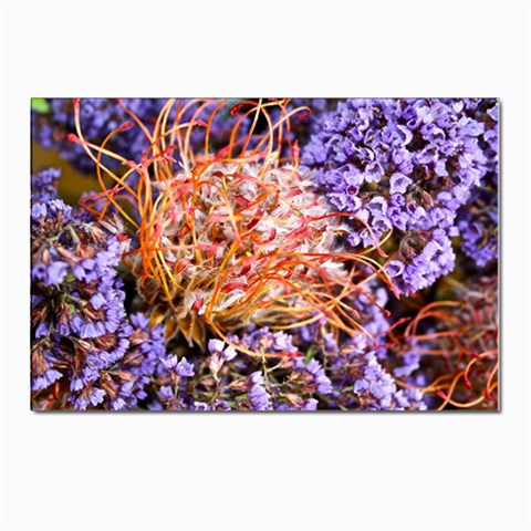 Purple Baby s Breath and Dried Orange Protea  by Ruth Edward Anderson Front