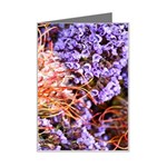  Purple Baby s Breath and Dried Orange Protea  by Ruth Edward Anderson - Mini Greeting Card