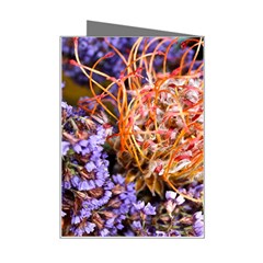  Purple Baby s Breath and Dried Orange Protea  by Ruth Edward Anderson Right