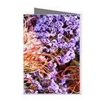  Purple Baby s Breath and Dried Orange Protea  by Ruth Edward Anderson - Mini Greeting Cards (Pkg of 8)