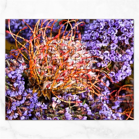  Purple Baby s Breath and Dried Orange Protea  by Ruth Edward Anderson Front