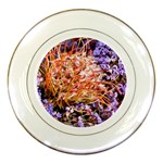  Purple Baby s Breath and Dried Orange Protea  by Ruth Edward Anderson - Porcelain Plate