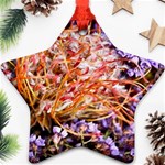  Purple Baby s Breath and Dried Orange Protea  by Ruth Edward Anderson - Star Ornament (Two Sides)