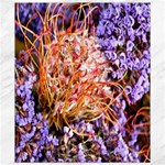  Purple Baby s Breath and Dried Orange Protea  by Ruth Edward Anderson - Canvas 8  x 10 