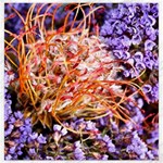  Purple Baby s Breath and Dried Orange Protea  by Ruth Edward Anderson - Canvas 12  x 12 