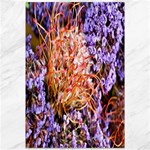  Purple Baby s Breath and Dried Orange Protea  by Ruth Edward Anderson - Canvas 12  x 18 