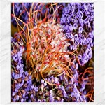  Purple Baby s Breath and Dried Orange Protea  by Ruth Edward Anderson - Canvas 16  x 20 