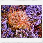  Purple Baby s Breath and Dried Orange Protea  by Ruth Edward Anderson - Canvas 20  x 20 