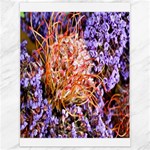  Purple Baby s Breath and Dried Orange Protea  by Ruth Edward Anderson - Canvas 18  x 24 