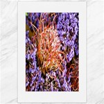  Purple Baby s Breath and Dried Orange Protea  by Ruth Edward Anderson - Canvas 20  x 30 
