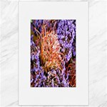  Purple Baby s Breath and Dried Orange Protea  by Ruth Edward Anderson - Canvas 24  x 36 