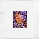  Purple Baby s Breath and Dried Orange Protea  by Ruth Edward Anderson - Canvas 36  x 48 