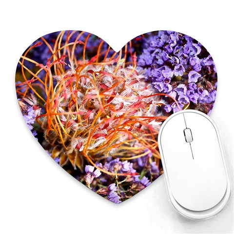  Purple Baby s Breath and Dried Orange Protea  by Ruth Edward Anderson Front