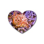  Purple Baby s Breath and Dried Orange Protea  by Ruth Edward Anderson - Rubber Coaster (Heart)