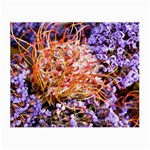  Purple Baby s Breath and Dried Orange Protea  by Ruth Edward Anderson - Glasses Cloth (Small, Two Sides)