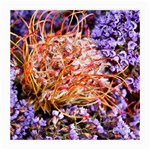  Purple Baby s Breath and Dried Orange Protea  by Ruth Edward Anderson - Glasses Cloth (Medium)