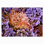  Purple Baby s Breath and Dried Orange Protea  by Ruth Edward Anderson - Glasses Cloth (Large)
