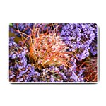  Purple Baby s Breath and Dried Orange Protea  by Ruth Edward Anderson - Small Doormat