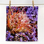  Purple Baby s Breath and Dried Orange Protea  by Ruth Edward Anderson - Face Towel
