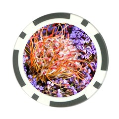  Purple Baby s Breath and Dried Orange Protea  by Ruth Edward Anderson Back