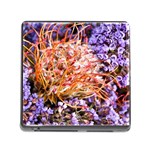  Purple Baby s Breath and Dried Orange Protea  by Ruth Edward Anderson - Memory Card Reader with Storage (Square)