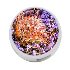  Purple Baby s Breath and Dried Orange Protea  by Ruth Edward Anderson Front