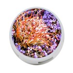  Purple Baby s Breath and Dried Orange Protea  by Ruth Edward Anderson - 4-Port USB Hub (Two Sides)