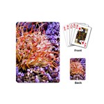  Purple Baby s Breath and Dried Orange Protea  by Ruth Edward Anderson - Playing Cards (Mini)