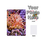  Purple Baby s Breath and Dried Orange Protea  by Ruth Edward Anderson - Playing Cards 54 (Mini)