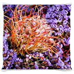  Purple Baby s Breath and Dried Orange Protea  by Ruth Edward Anderson - Large Cushion Case (One Side)