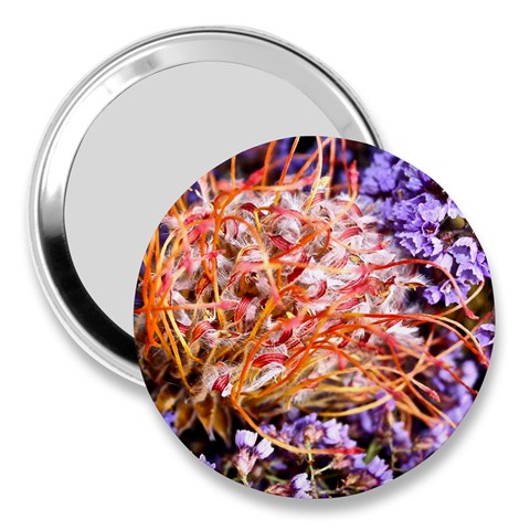  Purple Baby s Breath and Dried Orange Protea  by Ruth Edward Anderson Front