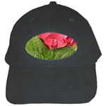 Pink Geranium - Ruth E Anderson -  Black Cap