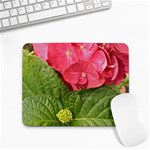 Pink Geranium - Ruth E Anderson -  Small Mousepad