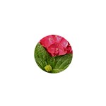 Pink Geranium - Ruth E Anderson -  1  Mini Button