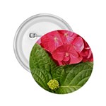 Pink Geranium - Ruth E Anderson -  2.25  Button