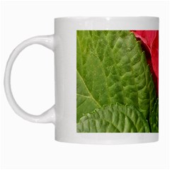 Pink Geranium Left