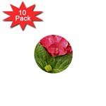 Pink Geranium - Ruth E Anderson -  1  Mini Button (10 pack) 