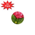 Pink Geranium - Ruth E Anderson -  1  Mini Magnet (10 pack) 
