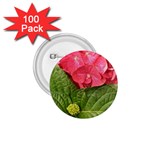 Pink Geranium - Ruth E Anderson -  1.75  Button (100 pack) 