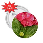 Pink Geranium - Ruth E Anderson -  2.25  Button (10 pack)
