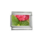 Pink Geranium - Ruth E Anderson -  Italian Charm (9mm)