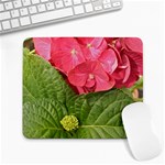 Pink Geranium - Ruth E Anderson -  Large Mousepad