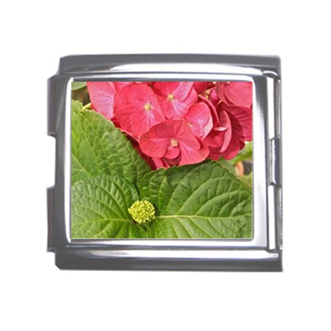 Pink Geranium Front